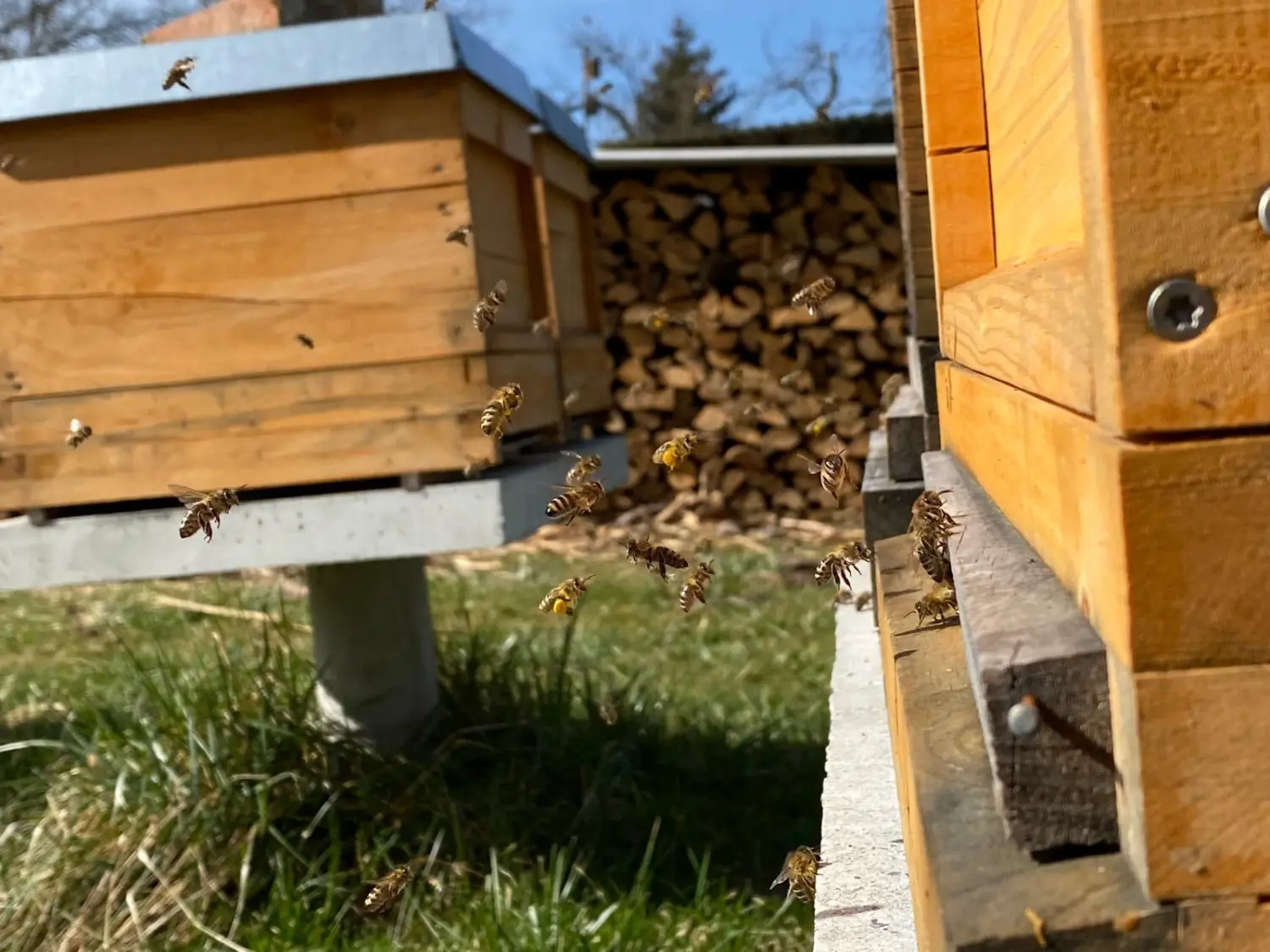 Praxis für Naturheilkunde Andreas Lötterle Produkte