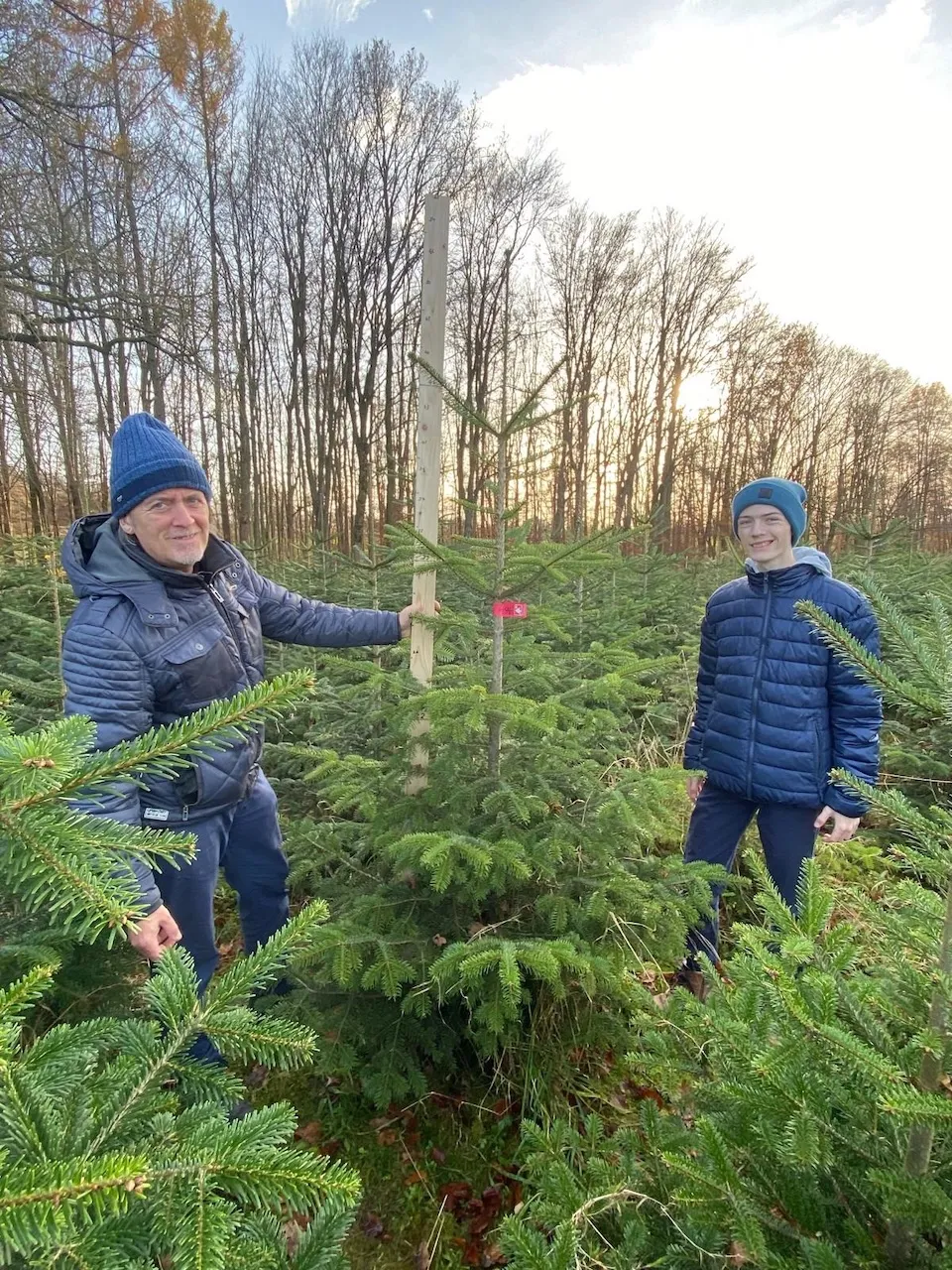 Making of Christbaumes von Praxis für Naturheilkunde Andreas Lötterle