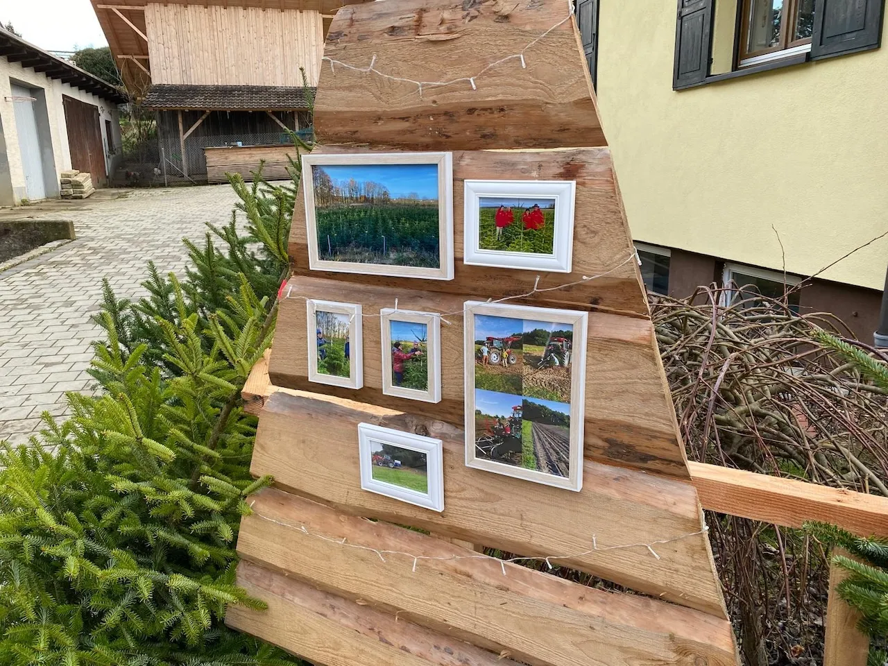 Tannenhof Lötterle von Praxis für Naturheilkunde Andreas Lötterle