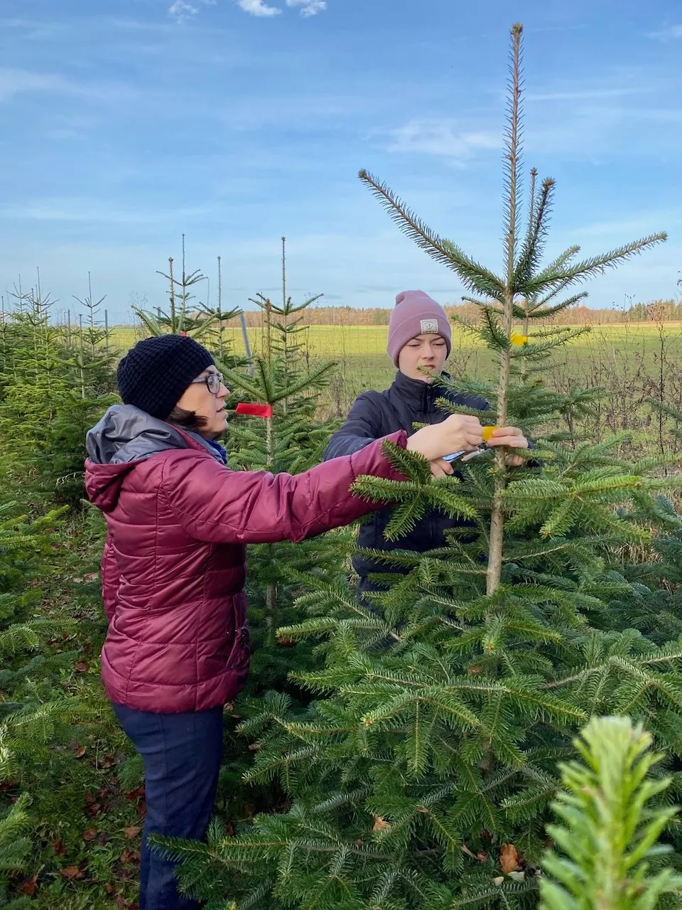 Christbaumes von Praxis für Naturheilkunde Andreas Lötterle
