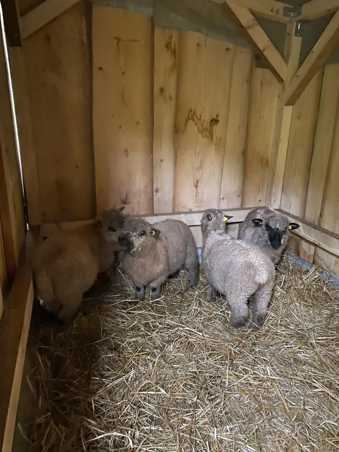 Praxis für Naturheilkunde Andreas Lötterle Produkte