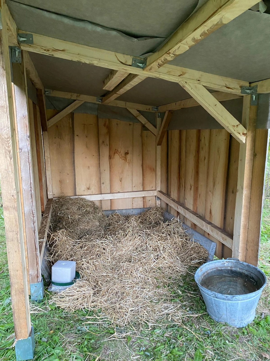 Praxis für Naturheilkunde Andreas Lötterle Produkte