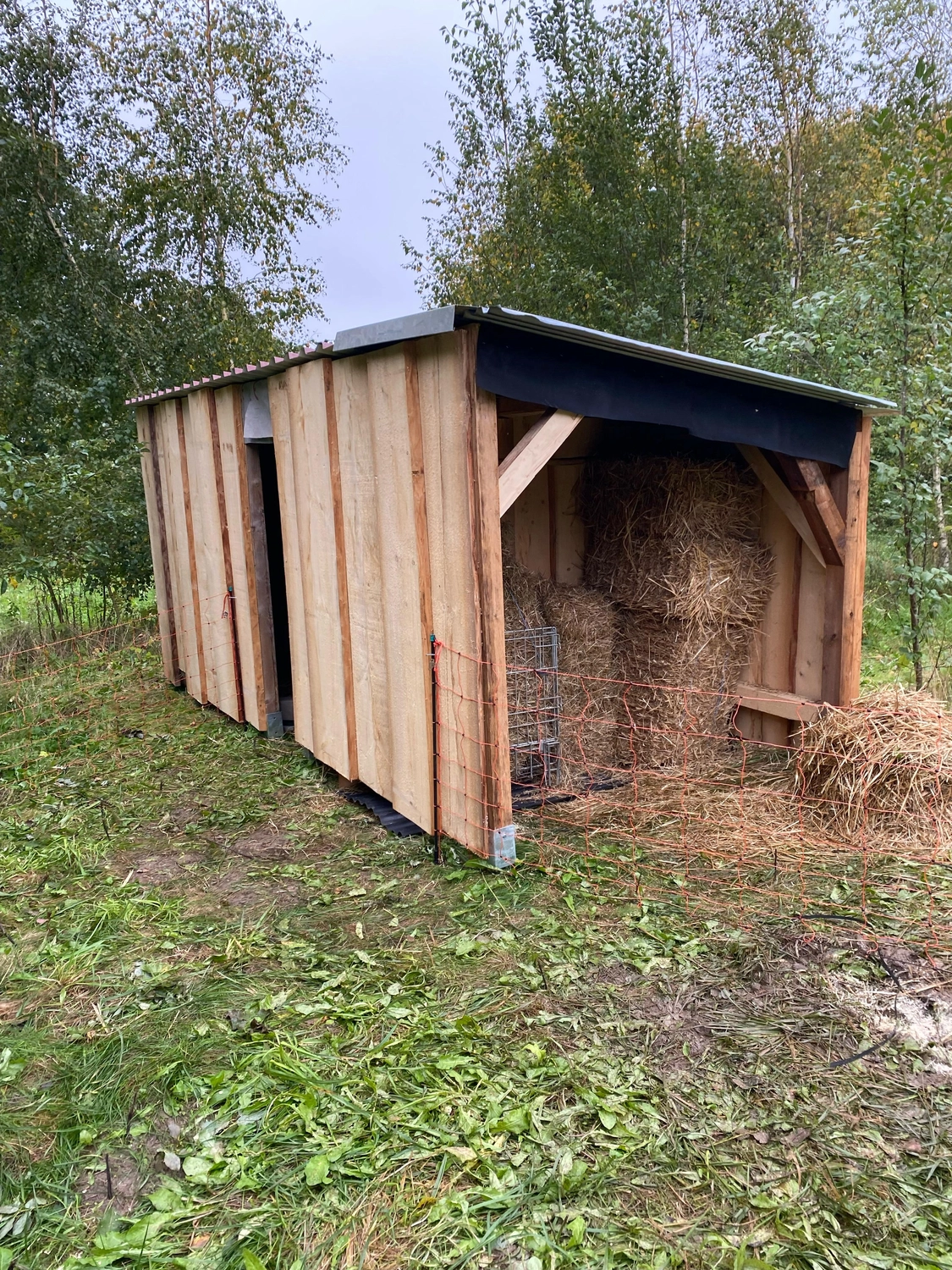Praxis für Naturheilkunde Andreas Lötterle Produkte