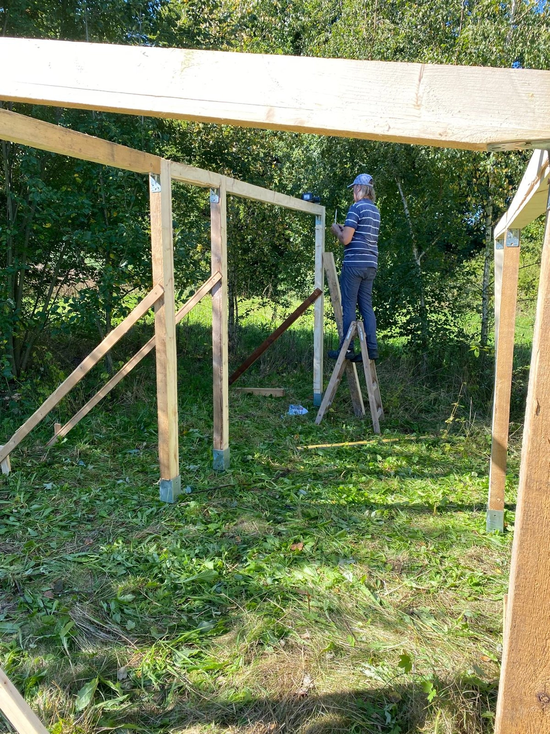Praxis für Naturheilkunde Andreas Lötterle Produkte
