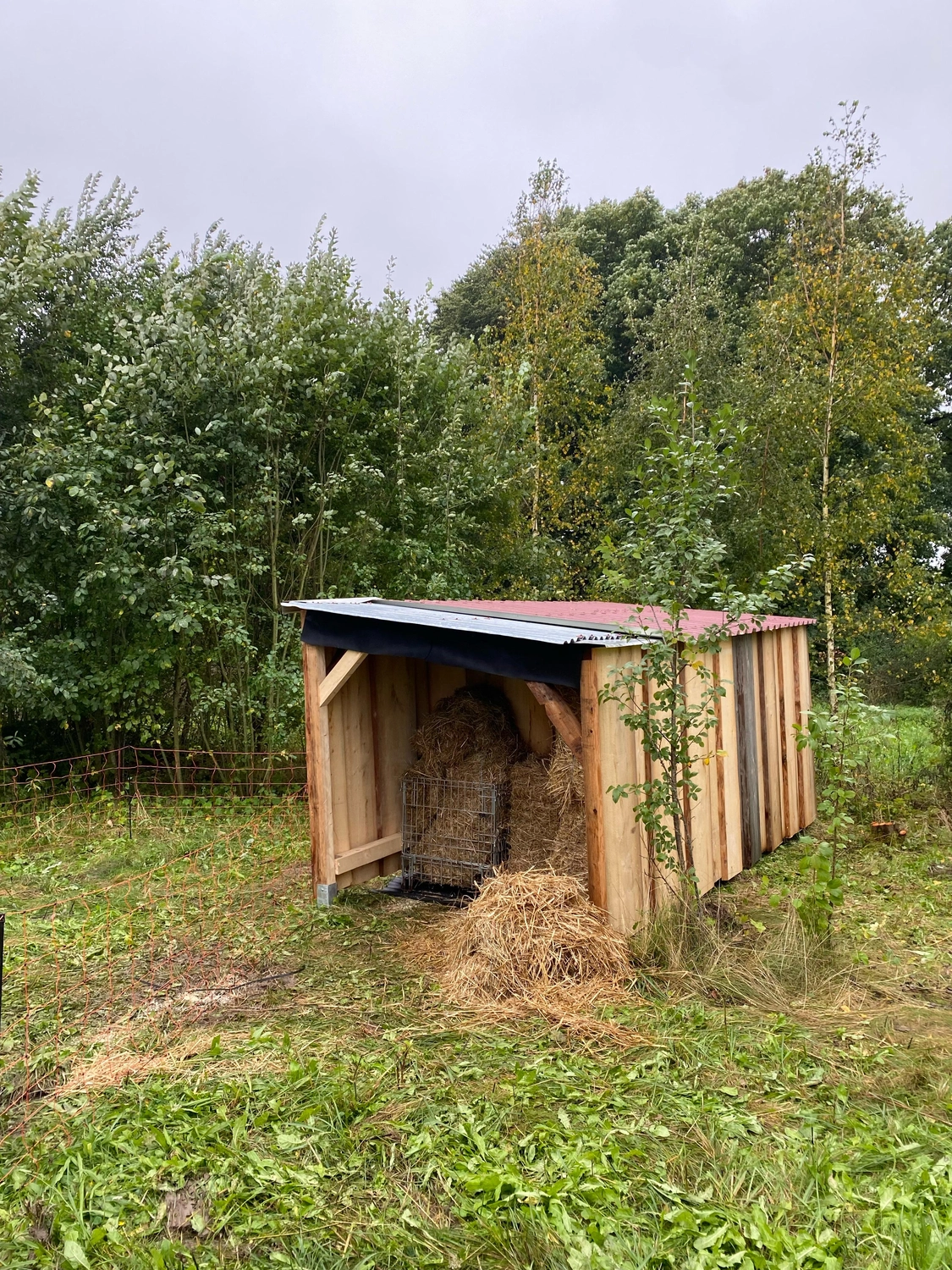 Praxis für Naturheilkunde Andreas Lötterle Produkte